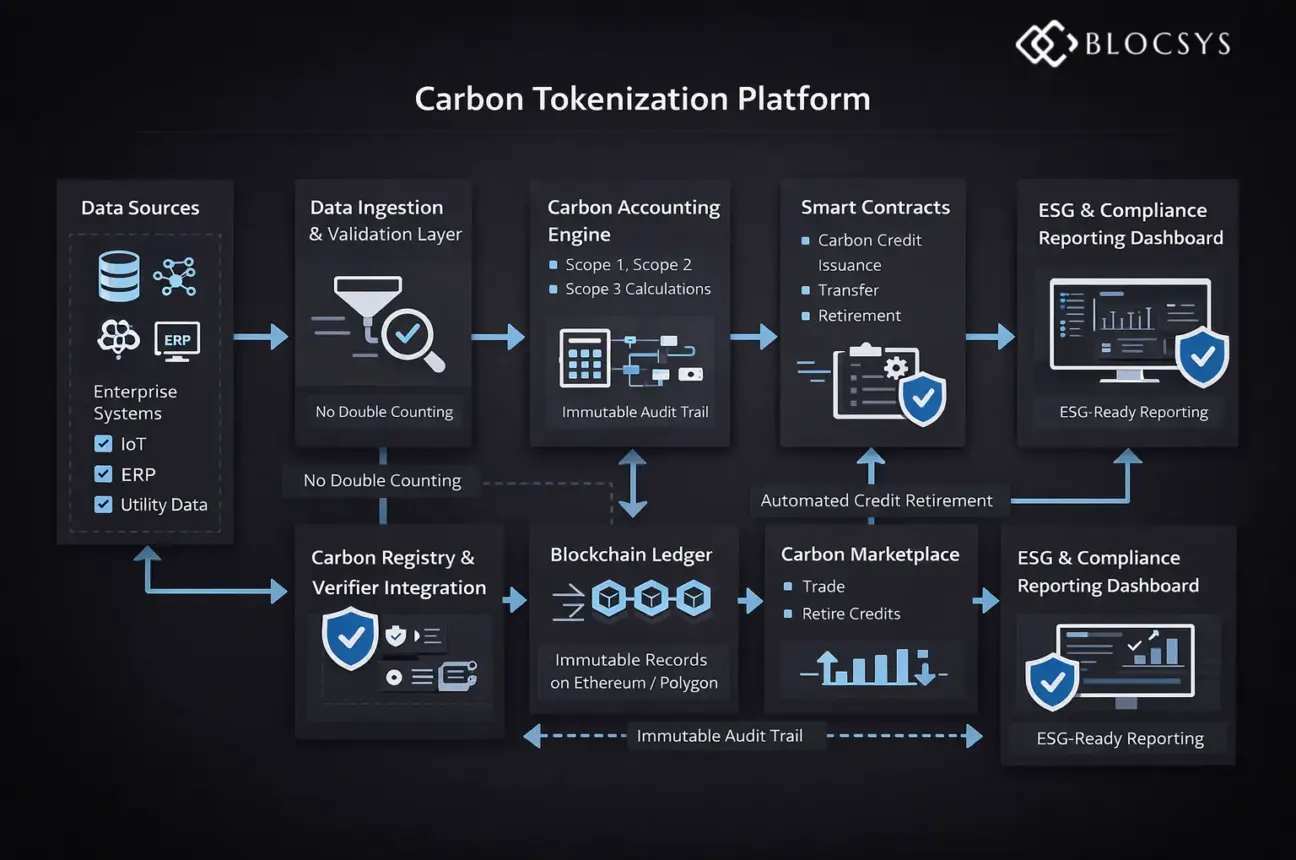 Carbon Tokenization